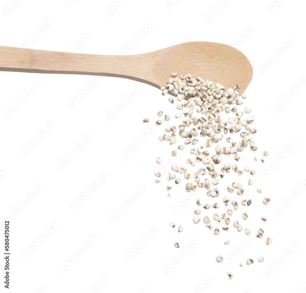 Job's Tear pour fall down from wooden spoon, white grain job tear float abstract fly. Beautiful job's tear splash stop in air, food object design. White background isolated high speed shutter freeze Job's Tear pour fall down from wooden spoon, white grain job tear float abstract fly. Beautiful job's tear splash stop in air, food object design. White background isolated high speed shutter freeze