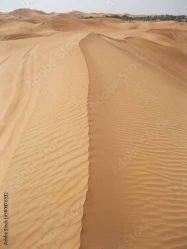 sand dunes in the desert