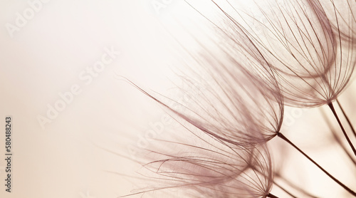 abstract dandelion flower with copy space. retro style.