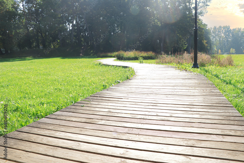 Fototapeta premium Pathway in beautiful public city park on sunny day
