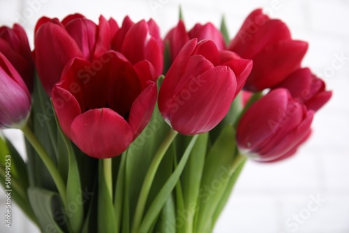 Bouquet of beautiful tulips on white background, closeup