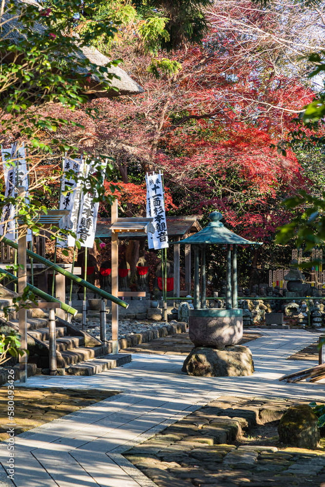 日本　神奈川県鎌倉市にある杉本寺の観音堂と香炉と紅葉