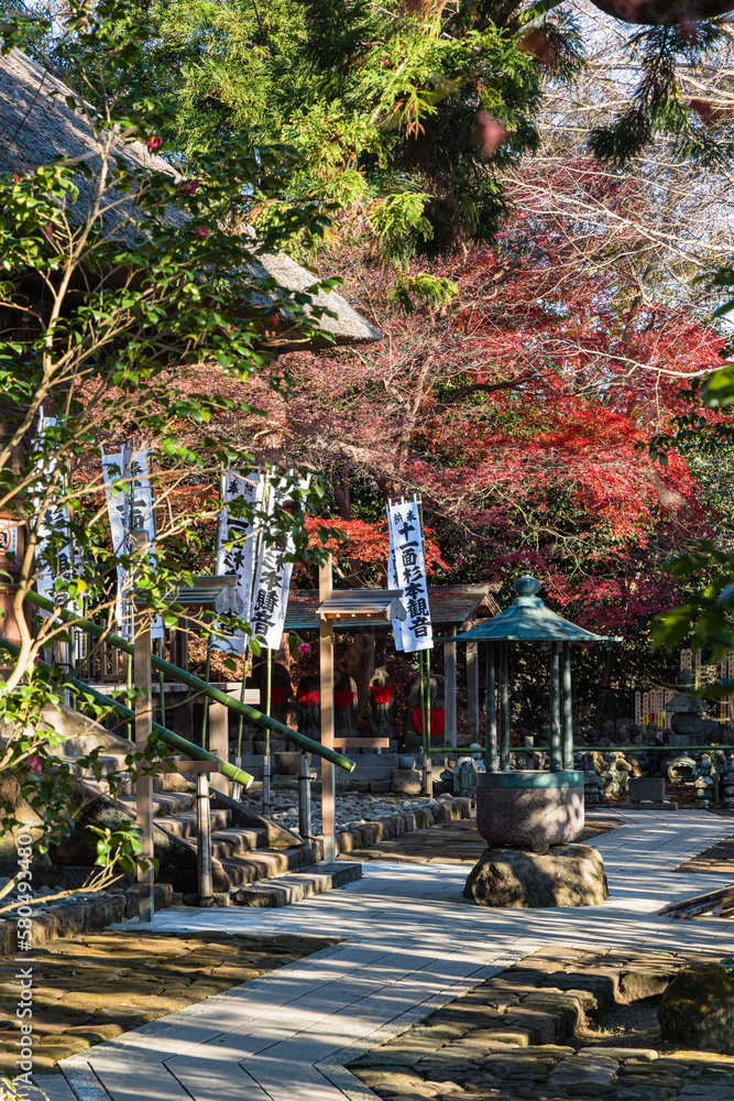 日本　神奈川県鎌倉市にある杉本寺の本堂と香炉と紅葉
