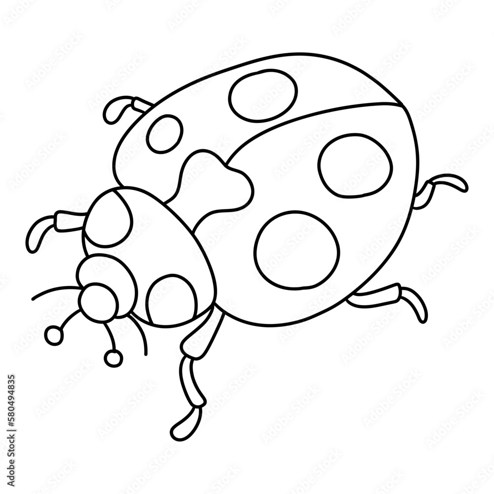 single ladybug insect animal, Spring Season illustration Element single ladybug insect animal, Spring Season illustration Element