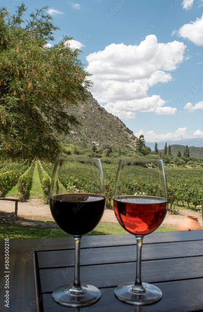 cata de vinos en Cafayate, Salta, Argentina