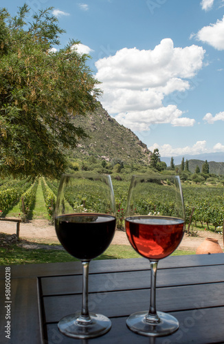 Obraz na płótnie cata de vinos en Cafayate, Salta, Argentina w salonie