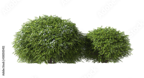 Realistic tropics greenish shrubs isolated on transparent backgrounds 3d rendering png