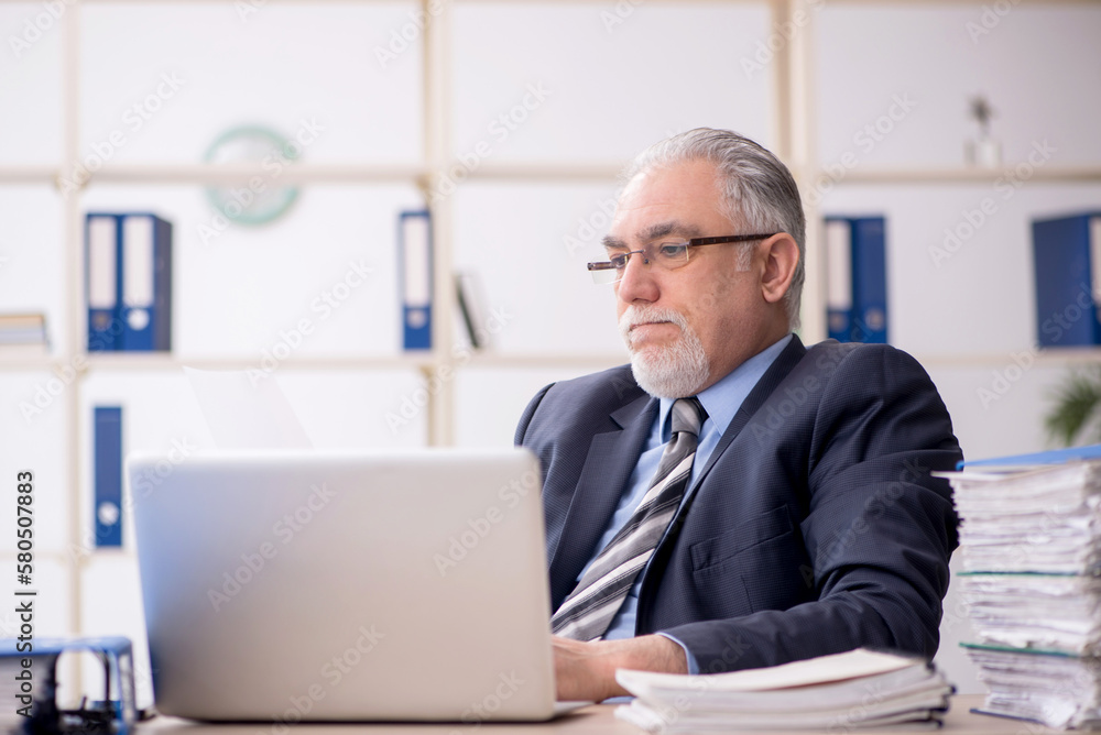 Old male employee working in the office Old male employee working in the office