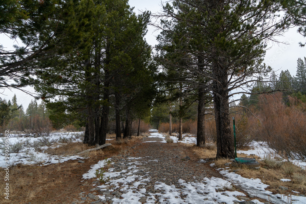Hiking the Washoe Meadows State Park trail Hiking the Washoe Meadows State Park trail
