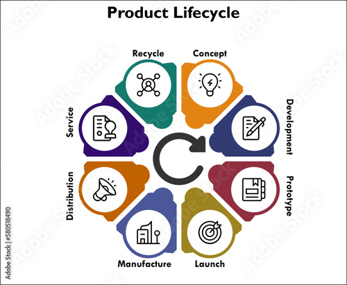 Product lifecycle with icons in an infographic template