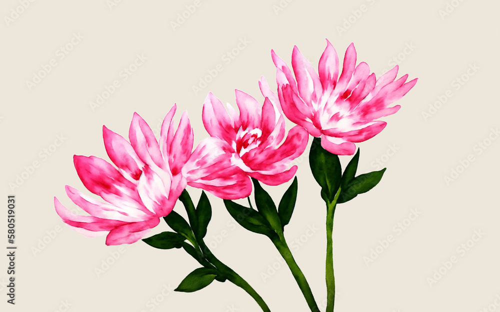 Watercolor illustration of three flowers Watercolor illustration of three flowers