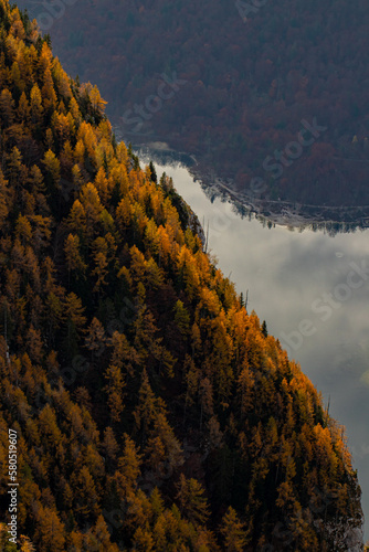 Beautiful Bohinj lake in Slovenia	 photo