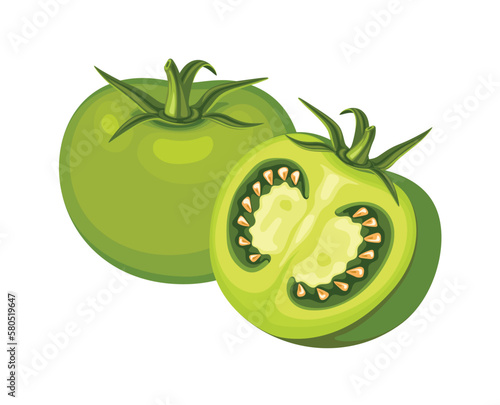 Green Tomato Fruit Vector Illustration Fresh Fruits