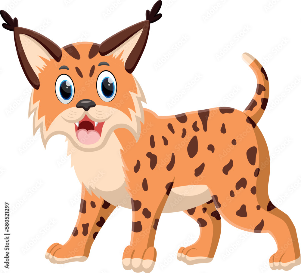Cartoon cute bobcat, isolated on white Cartoon cute bobcat, isolated on white