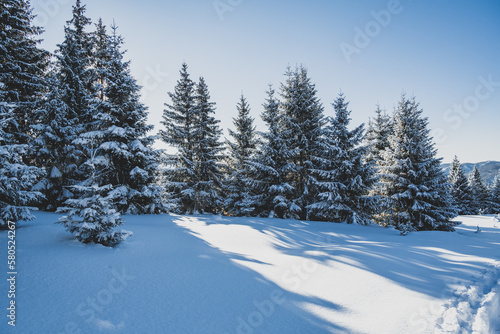 Alpine mountains landscape with white snow and blue sky. Sunset winter in nature. Frosty trees under warm sunlight.  Hiking winter to kralova hola, low tatras slovakia landscape photo