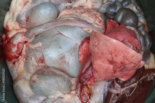 Internal organs of slaughtered sheep goat lamb cow photo