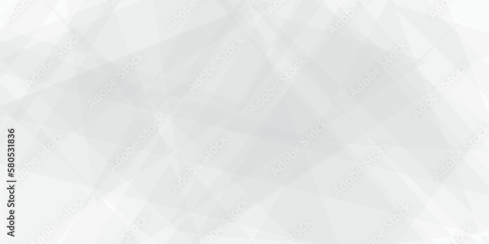 Fototapeta premium Abstract modern white and grey geometric triangle lines vector background. Design use for poster, template, wallpaper background.
