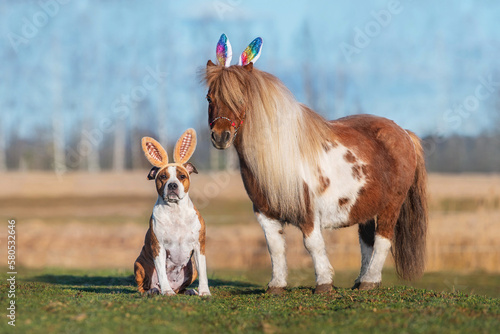 Pony and dog with bunny ears on their heads. Funny Easter bunnies.