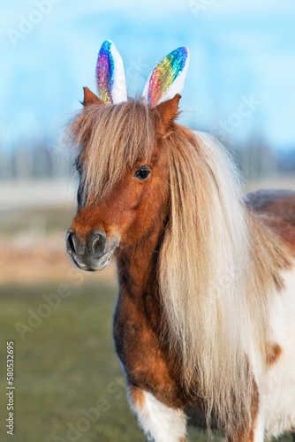 Obraz na płótnie Lovely shetland pony with bunny ears on its head. Funny Easter bunny. w salonie