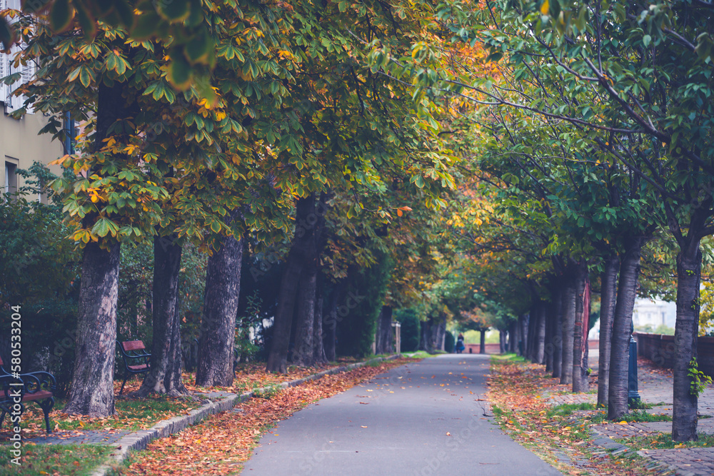Naklejka premium Autumn in Budapest, Hungary.