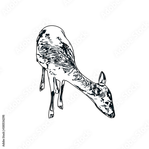 black and white sketch of a mouse deer with transparent background