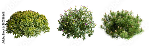 Photography Plant and shrubs in 3d rendering isolated