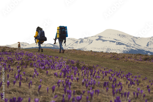 Trekkers with backpacks and small active dog isolated PNG photo with transparent background