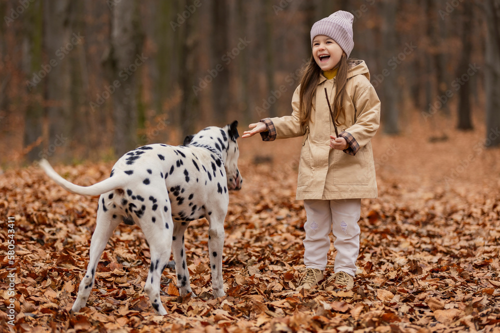 girl with a Dalmatian dog in the autumn forest girl with a Dalmatian dog in the autumn forest