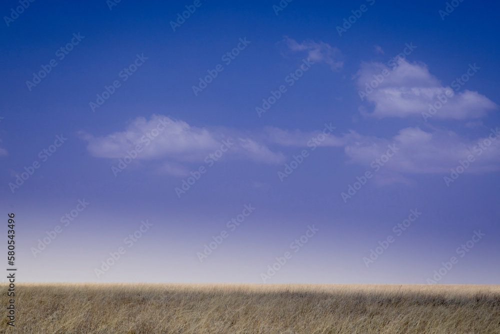 Scenic view of field against sky at Serengeti National Park Scenic view of field against sky at Serengeti National Park