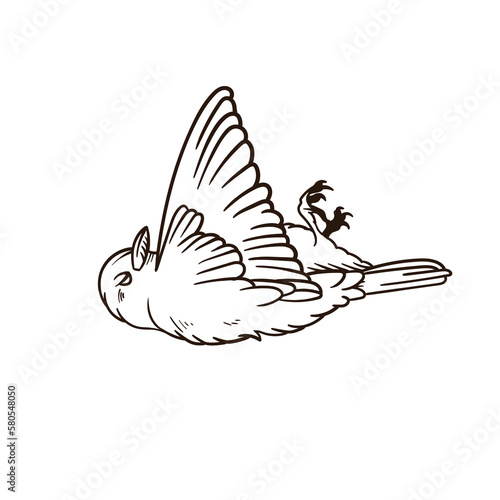 Hand drawn illustration of a dead bird Outline design