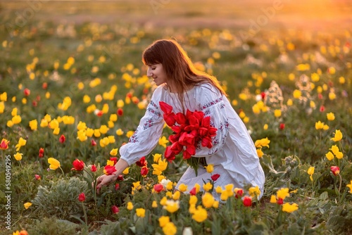 Woman field tulips sunset. Woman against sunset and wild tulip flowers, natural seasonal background. Multi-colored tulips Tulipa schrenkii in their natural habitat are listed in the Red Book. photo