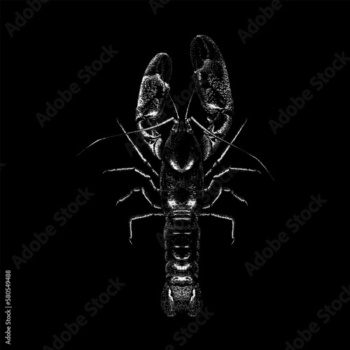 Yabby hand drawing vector isolated on black background.