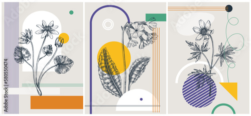 Collage-style spring flower vector illustration. Hand-sketched floral banner set. Trendy design with botanical elements and geometric shapes. Elegant wildflowers for sketch print, poster, and card