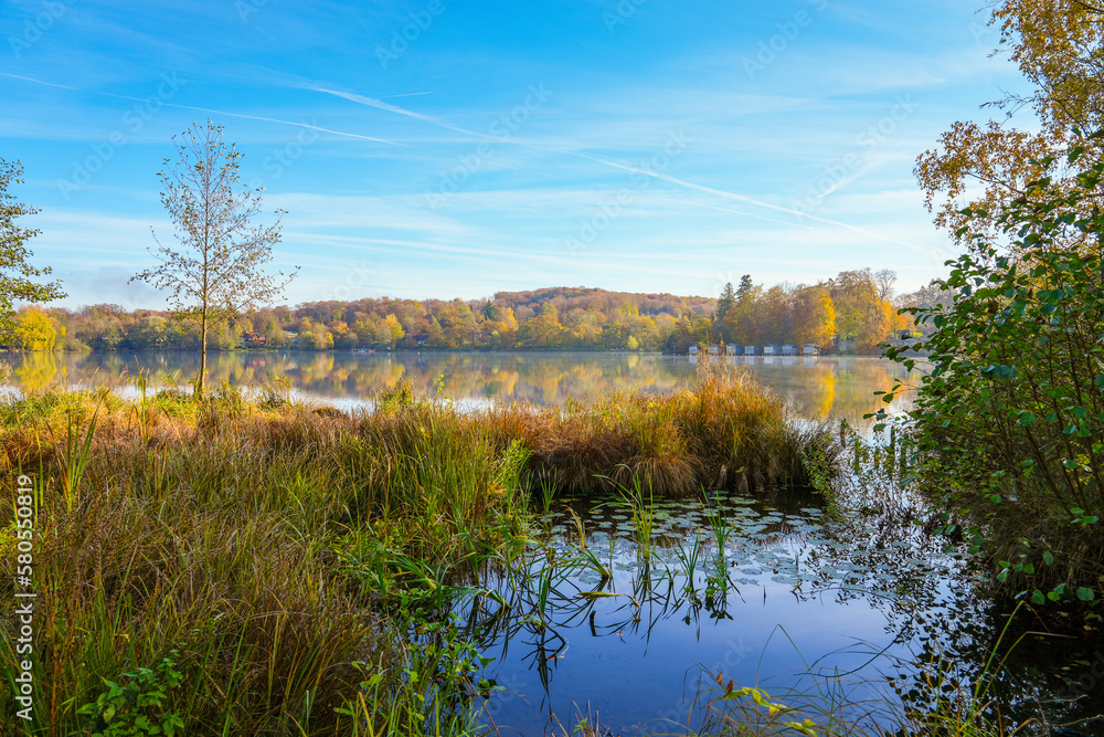 Wesslinger See in Wessling in the district of Starnberg in Bavaria. Autumn landscape by the lake. Idyllic nature.
Wesslinger See in Wessling in the district of Starnberg in Bavaria. Autumn landscape by the lake. Idyllic nature.