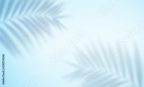 blurry summer background with shadows from palm leaves on a light blue background