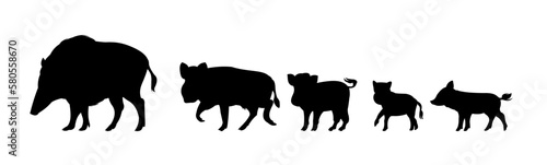 Wild boar family. Animal in natural habitat. Wild pig illustration. Isolated on white background. Vector.