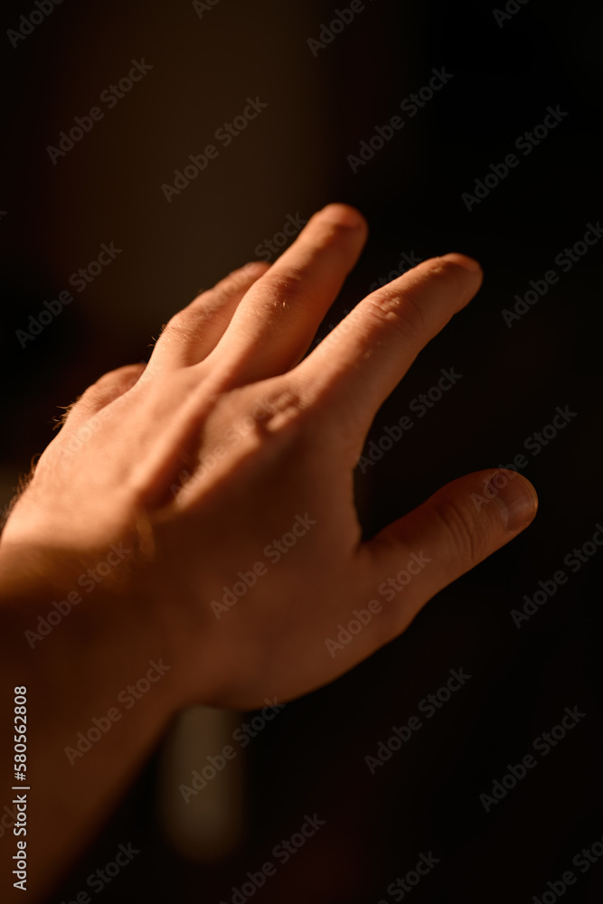 Fototapeta premium Man's hand in sunlight. Human hand anatomy reference. Natural light and shadows