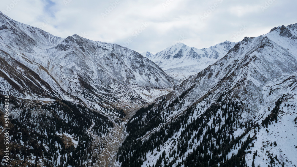 High snowy mountains with forest in the gorge. Dark sky with clouds, gloomy atmosphere. The white slopes are covered with snow, high-altitude spruce trees grow. Trails are visible. Big Almaty Lake