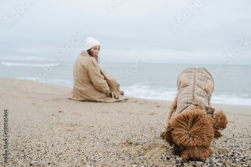 Dog digging in sand with woman sitting at beach photo