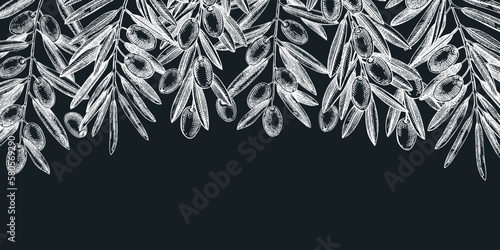 Olive branch background. Vector banner design with leaves and fruits sketches in vintage style. Vegetable oil ingredients illustration on chalkboard. Olive plant border template for print