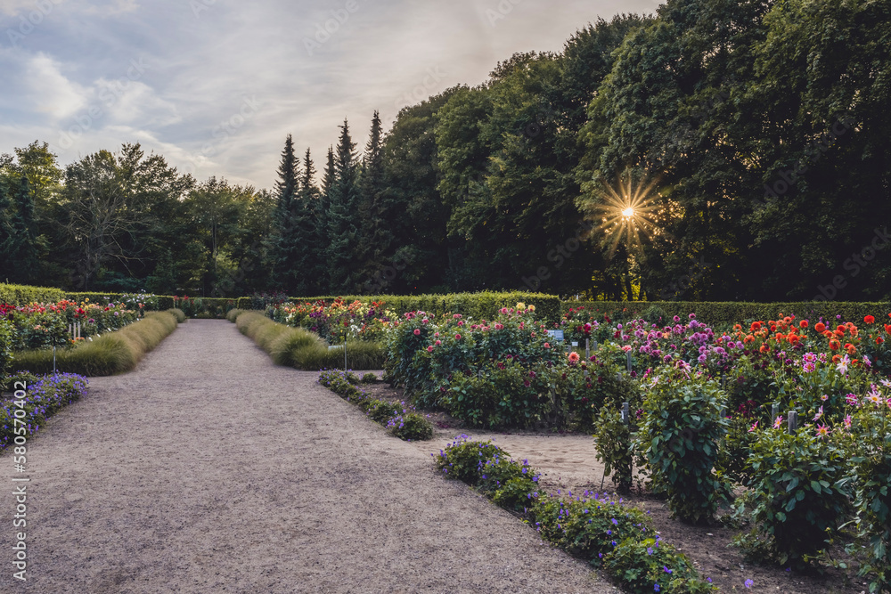 Germany, Hamburg, Dahliengarten park at summer sunrise Germany, Hamburg, Dahliengarten park at summer sunrise