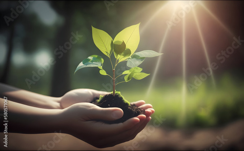 Eco earth day concept. hand holding young plant in sunshine and green nature background - AI Generative	