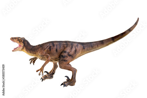 dinosaur , Velociraptor  isolated background © meen_na