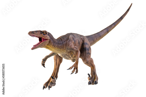 Fototapeta Naklejka Na Ścianę i Meble -  dinosaur , Velociraptor  isolated background