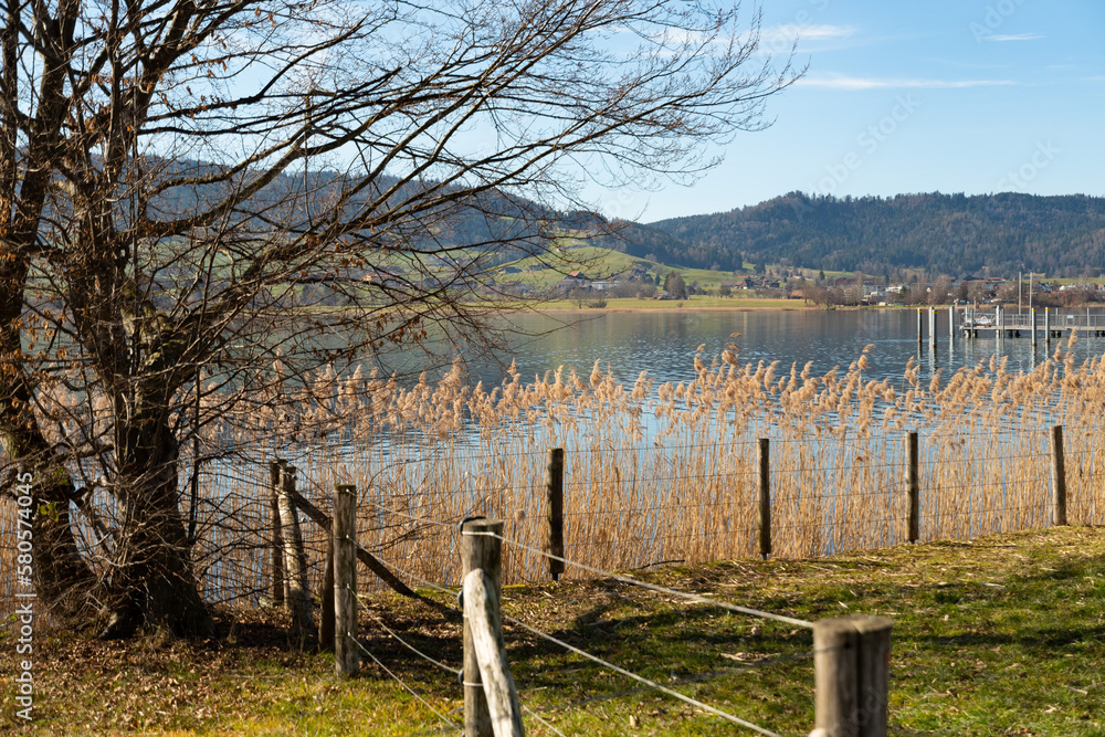 Obraz premium Lake promenade at the Aegerisee in Switzerland