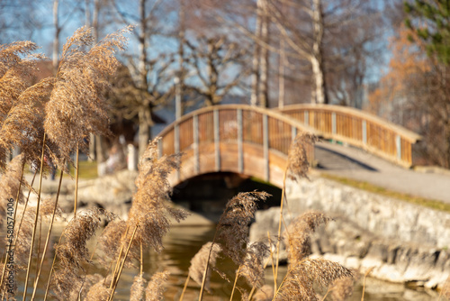 Little wooden bridge at the lake Aegerisee in Switzerland