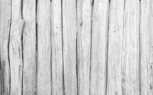 Wood plank white timber texture background. Old wooden wall painted weathered hardwood.