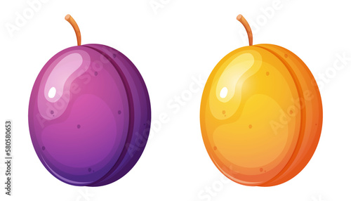 Plum and apricot cartoon style vector illustration. 