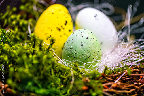 bird nest with colored Easter eggs on branches of green trees, easter decoration, selective focus