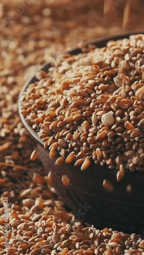 Grain is poured into a clay bowl Slow motion Vertical video